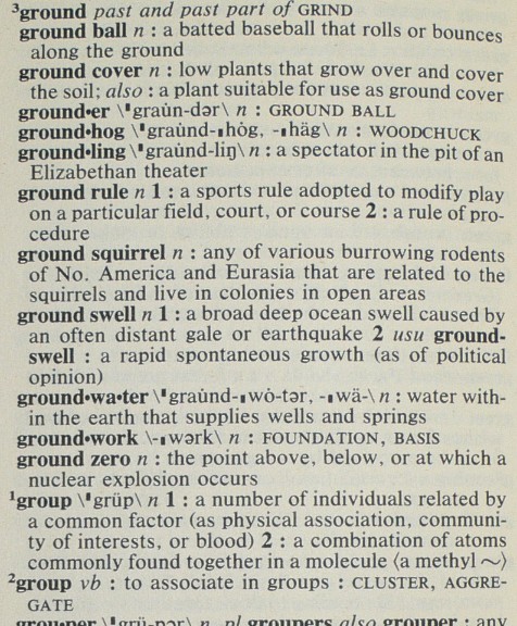 Merriam-Webster 1999