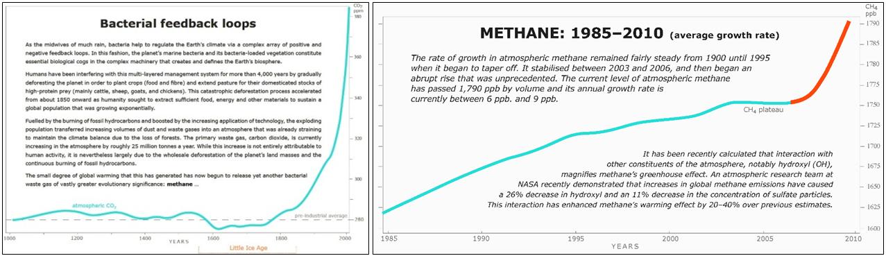 Целый Мир не обмануть!
