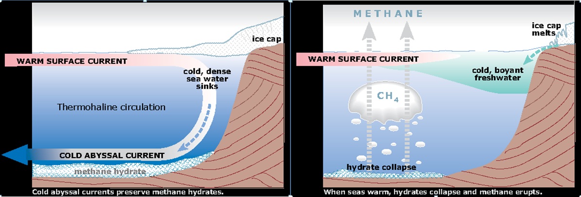 Целый Мир не обмануть!