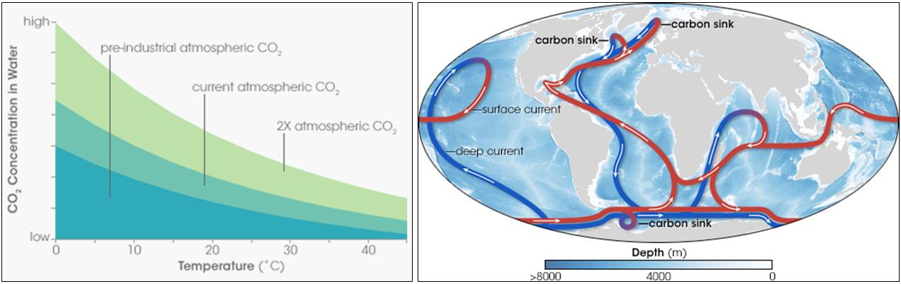 Целый Мир не обмануть!