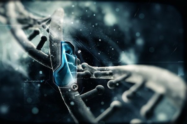 Генетическое оружие – может ли вас убить ваша ДНК?