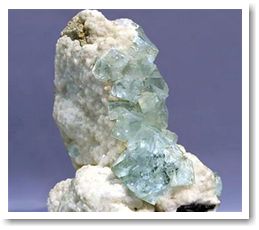 Большой фтористый заговор