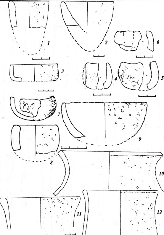 Городища и стоянки. Или всё же города мастеров?
