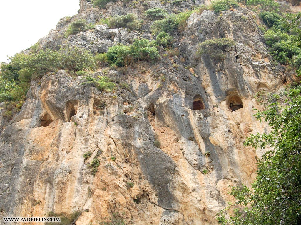 Вся история Азии в одной европейской карте