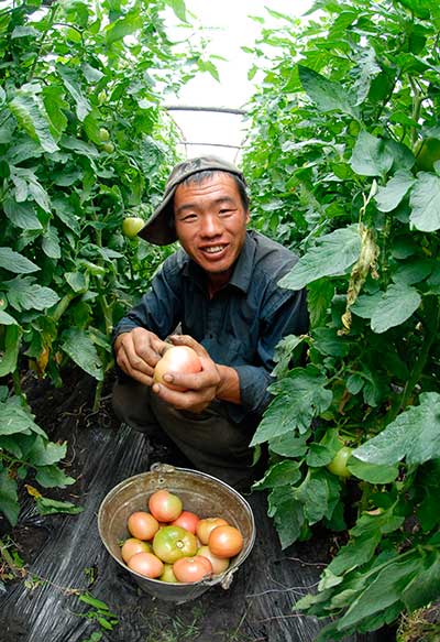 Китайские овощи на русском столе