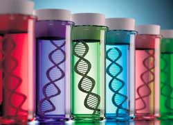 Профессор Клесов: «Корни русских найдены. Соловьи информационной русофобской войны посрамлены»