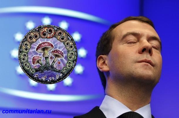 О галлюцинациях и «электронных услугах» нашего правительства