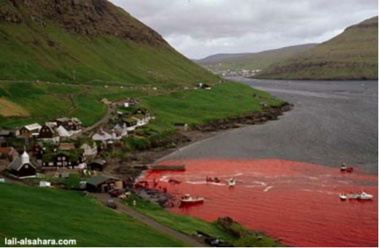 Нелюди из "просвещённой" Европы