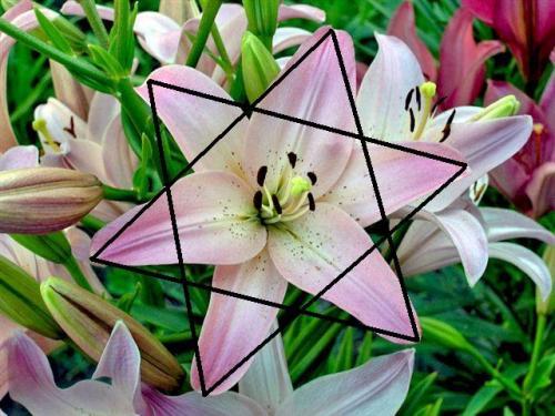 Почему мы не поздравляем никого с «международным женским днем»