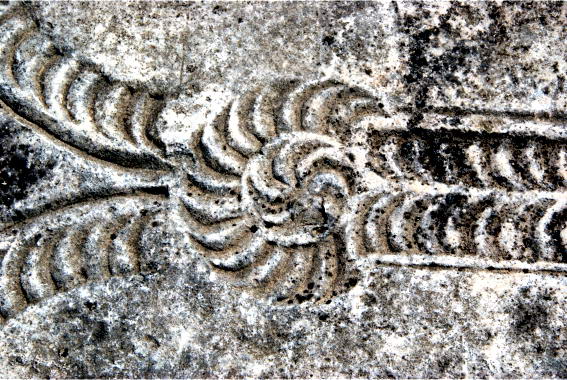 65295_original Русь крестили в 17 веке