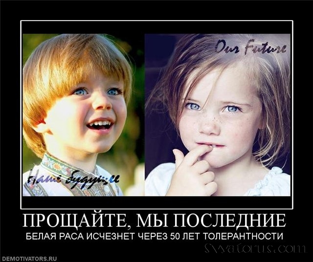 Толерантность в РФ