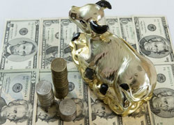 Теория Паразитической Системы