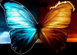 Трансформация сознания