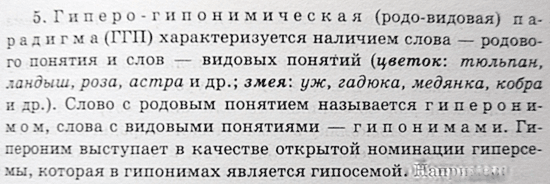 «Учите русский язык!..». Беседа вторая: ОПГ в филологии