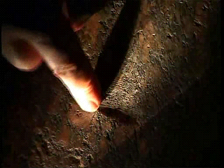 Забытые технологии древности. Размышления о прошедшем и будущим 